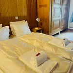 Casa Cradd, Spacious House Near Flims * Trin